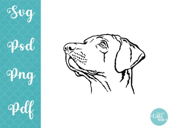 Vizsla Dog SVG Vector Svg: A Designer's Review